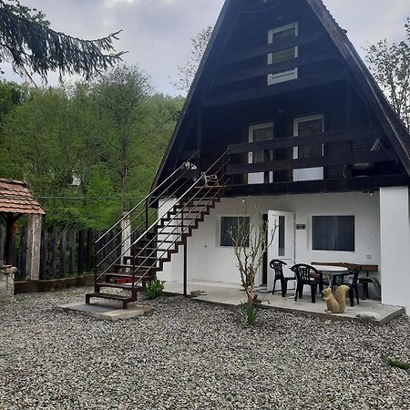 Cabanuta Dan & Alex Villa Cîrţişoara Bagian luar foto