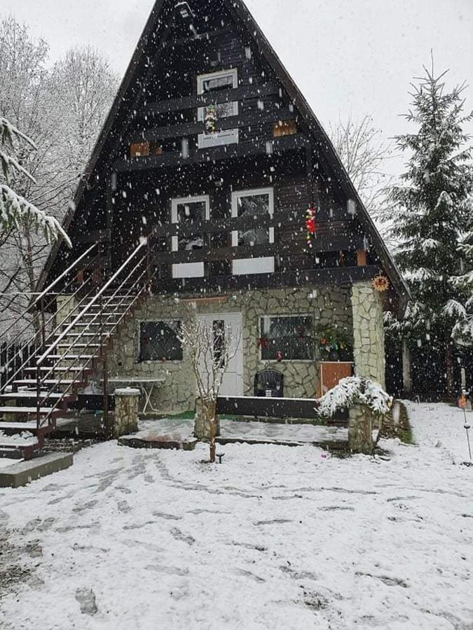 Cabanuta Dan & Alex Villa Cîrţişoara Bagian luar foto