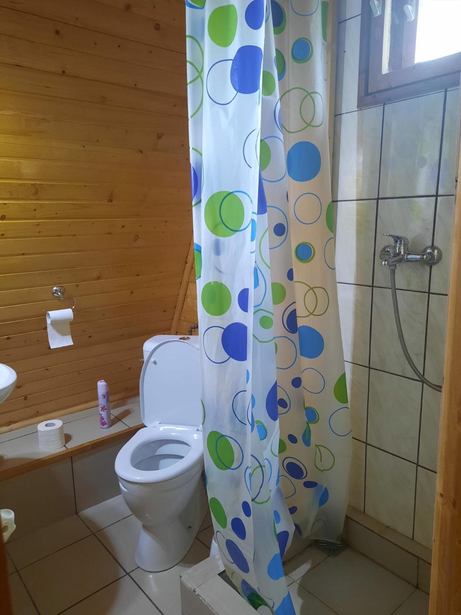 Cabanuta Dan & Alex Villa Cîrţişoara Bagian luar foto