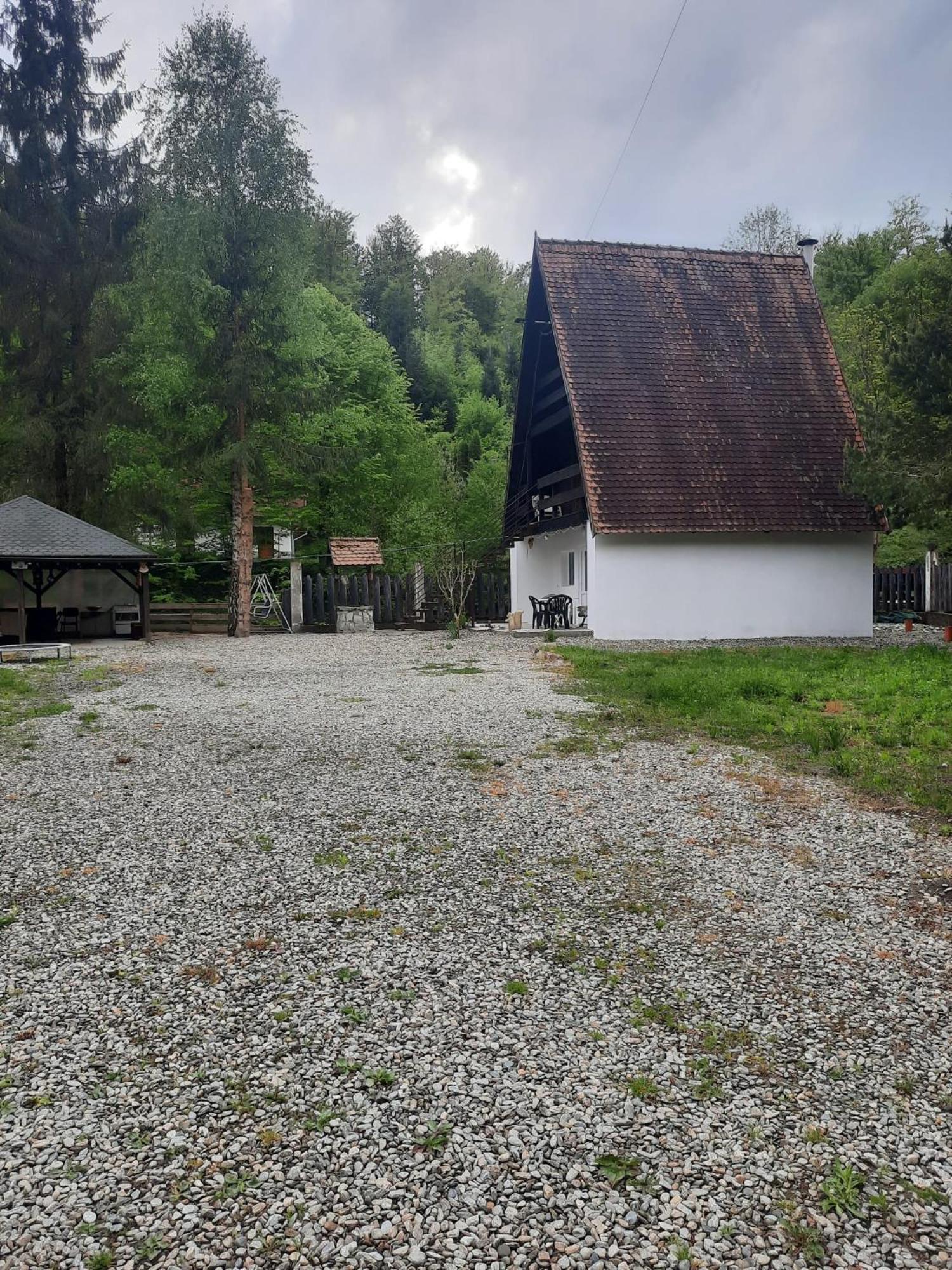 Cabanuta Dan & Alex Villa Cîrţişoara Bagian luar foto